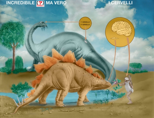 Il Cervello dei dinosauri